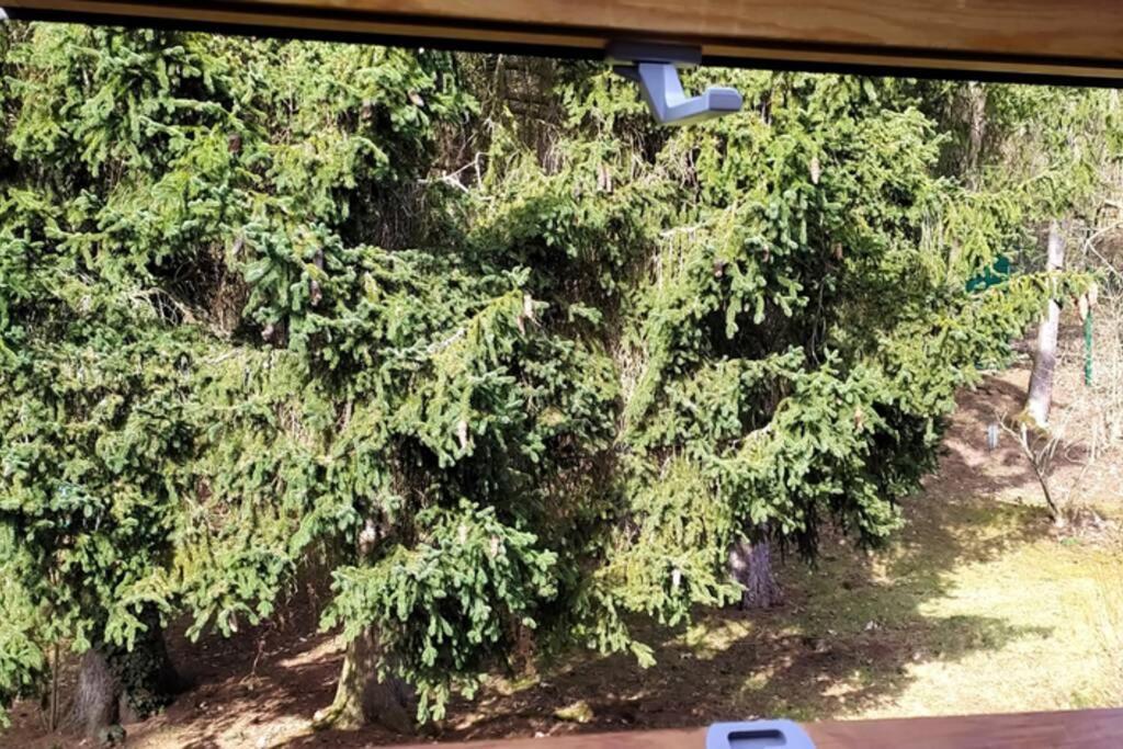 Refugium Klosterhaus Nettersheim エクステリア 写真